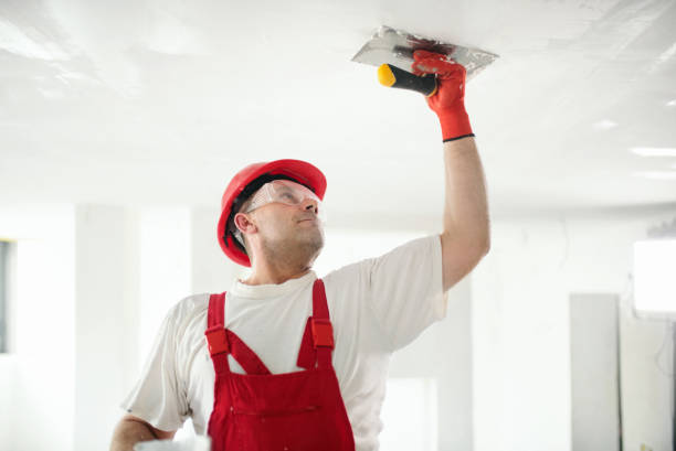 New Freedom, PA Mold Removal Company